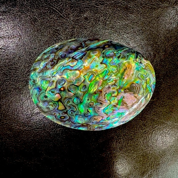 Abalone shell Buckle - Picture 1 of 8